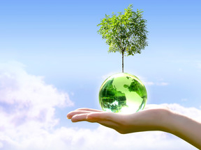 オゾンの安全性