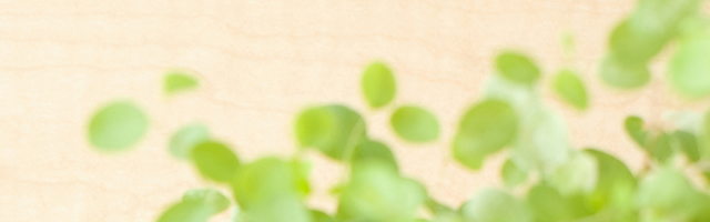 ゴミ屋敷片付け